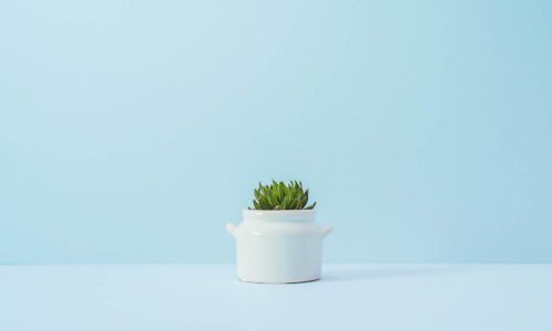 khai-sze-ong-308080-unsplash khai-sze-ong-308080-unsplash