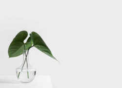 sarah-dorweiler-211779-unsplash sarah-dorweiler-211779-unsplash