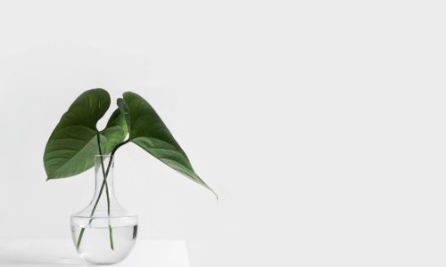 sarah-dorweiler-211779-unsplash sarah-dorweiler-211779-unsplash
