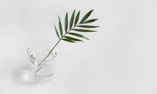 sarah-dorweiler-357959-unsplash sarah-dorweiler-357959-unsplash